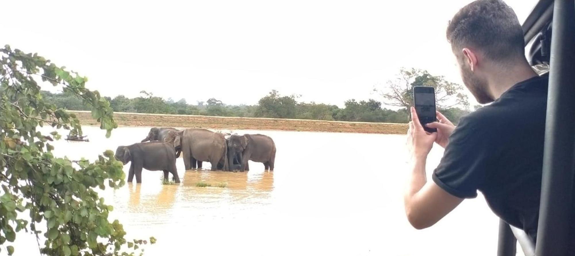 Wild Eagle Safari Resort 达瓦拉维 外观 照片