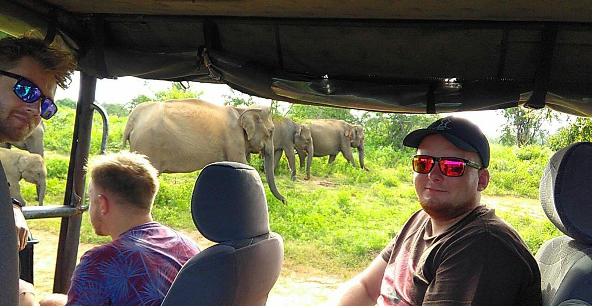 Wild Eagle Safari Resort 达瓦拉维 外观 照片